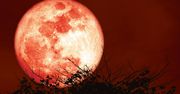 Truskawkowy Księżyc w czerwcu 2025. Niezwykła pełnia na polskim niebie