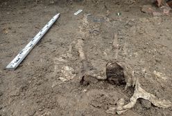 Odkrycie archeologów w Rudzicy. Masowy grób żołnierzy przy kościele