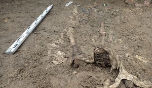 Odkrycie archeologów w Rudzicy. Masowy grób żołnierzy przy kościele