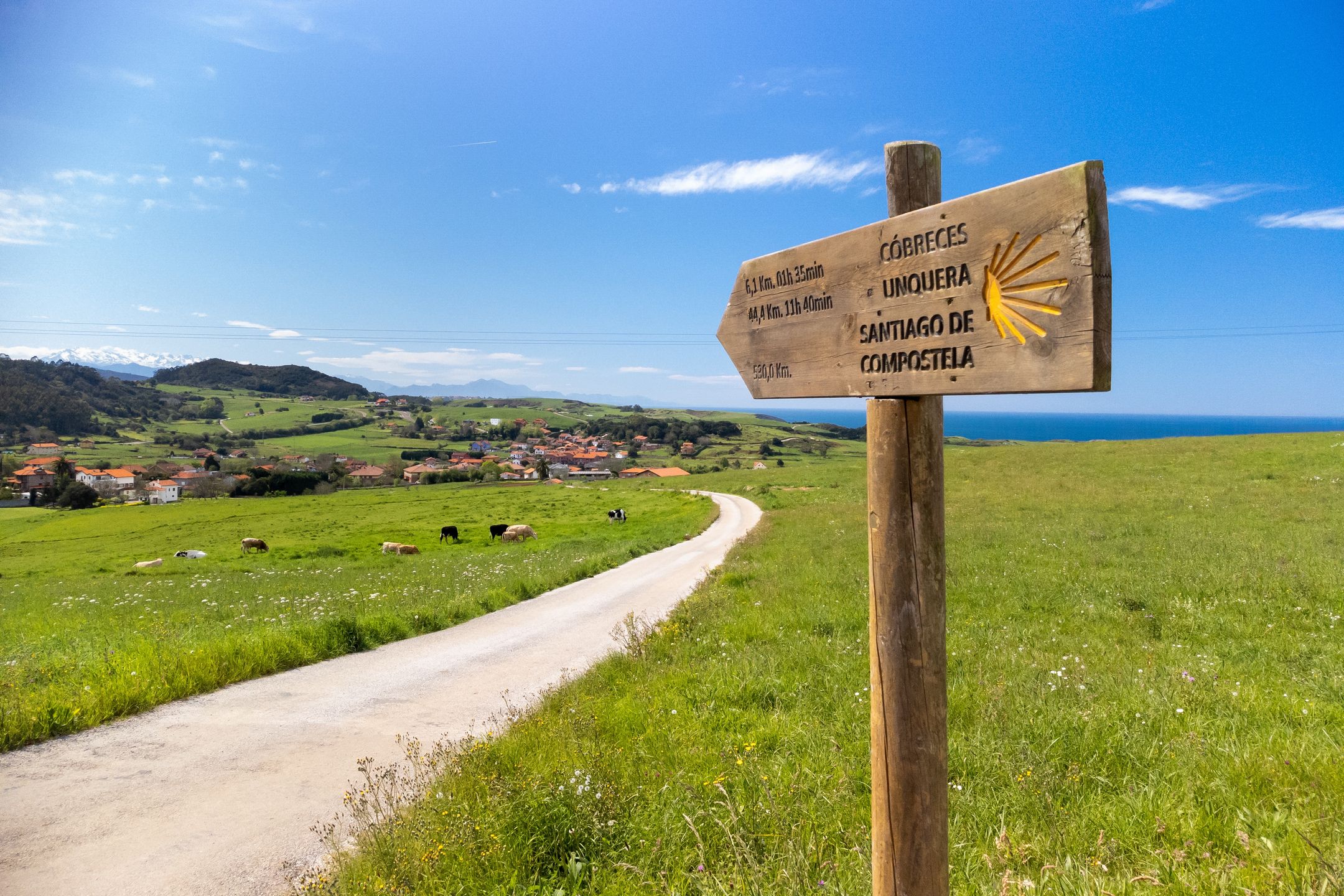 Szkal Camino de Santiago
