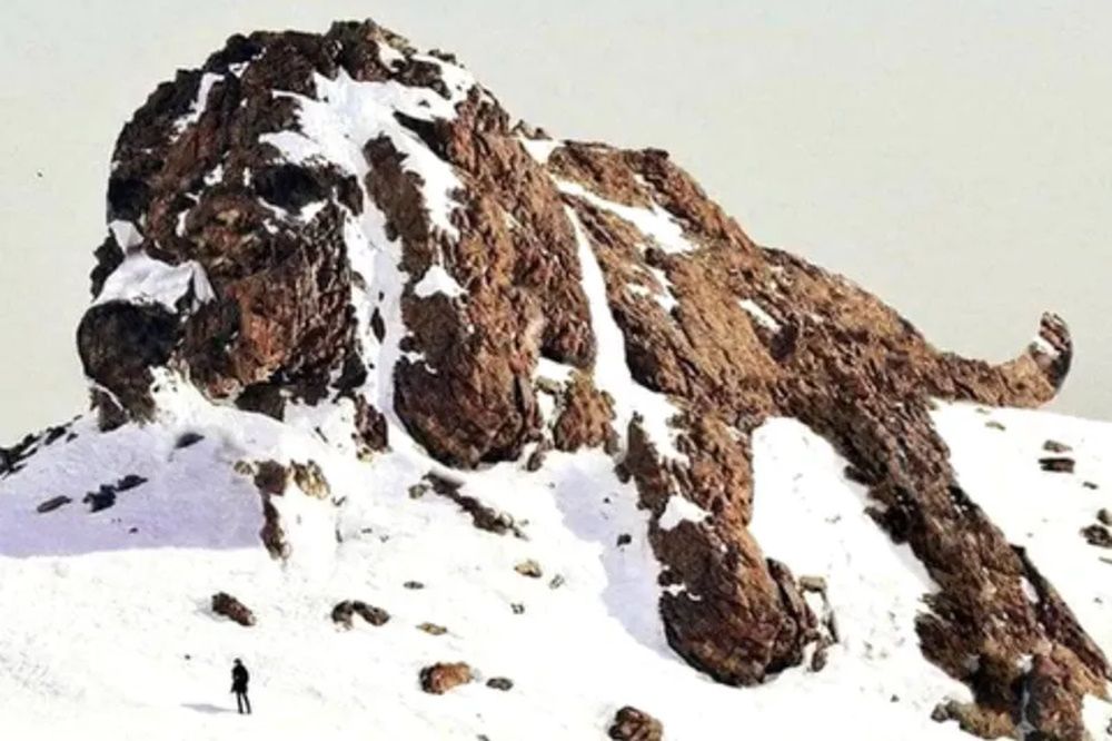 Co zobaczyłeś jako pierwsze? Szybki test zdradzi, jaką masz osobowość