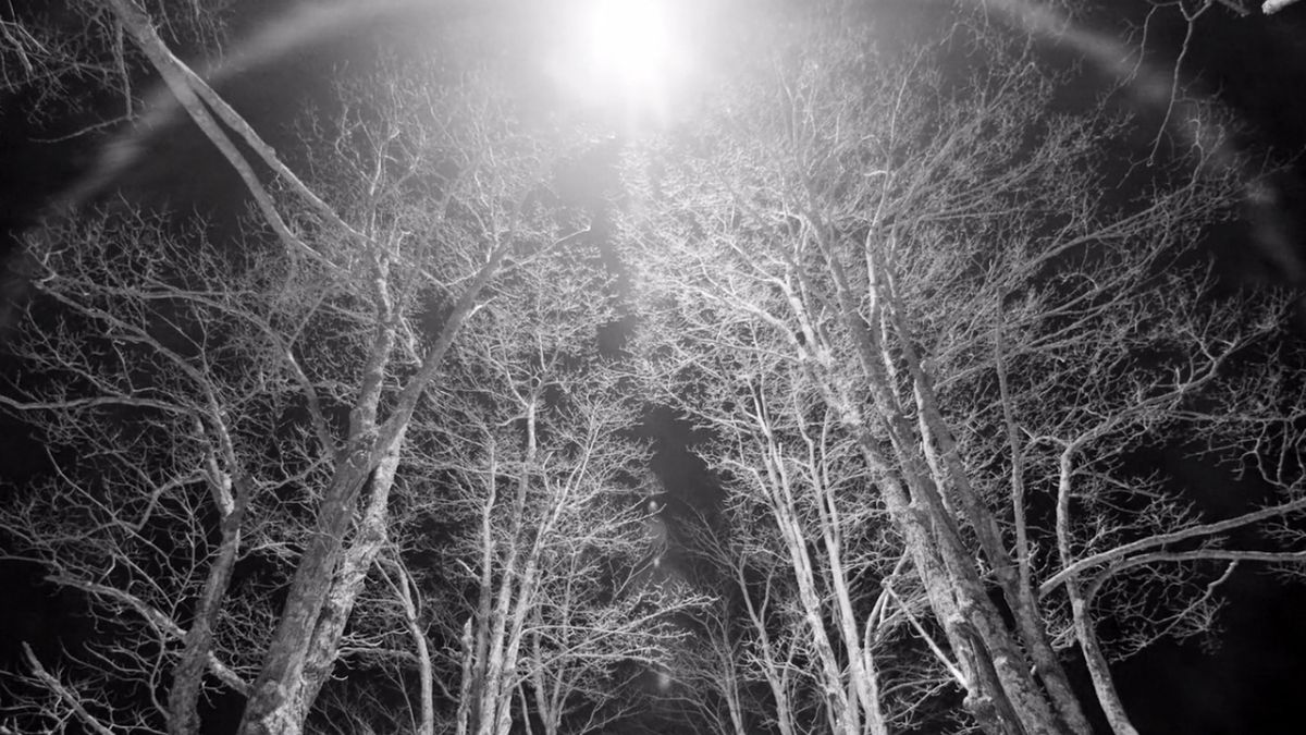 1600 watów przyczepione do drona zamieniło noc w dzień 1