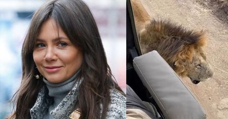"Ekslwica TVN-u" Kinga Rusin tym razem ogląda lwy w rezerwacie. Tęsknicie za nią?