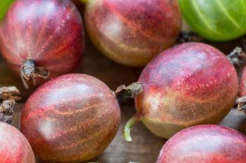 Kiedyś Polacy jedli na potęgę. Dziś mało kto pamięta, jak smakuje, choć pomaga schudnąć