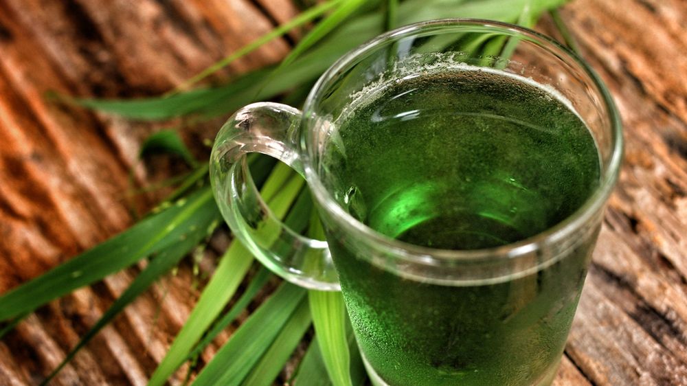 Napój z trawy pszenicznej wykazuje wiele zdrowotnych właściwości