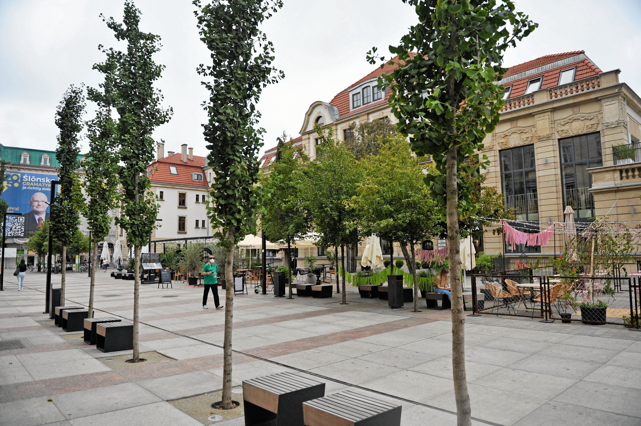 Wysychające drzewa na wyremontowanym deptaku przy ul. Dworcowej w Katowicach26.07.2022 r.