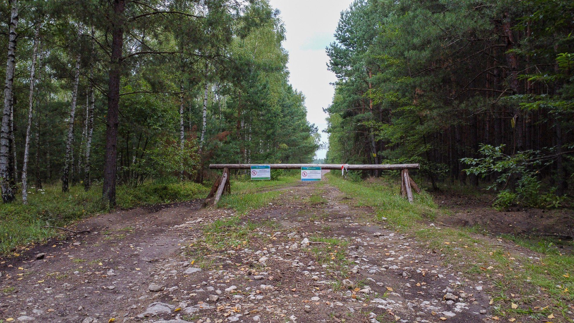 Zalewisko w Hutkach