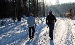 Mroźna zima rozwiąże problem komarów i kleszczy? Ekspert nie ma złudzeń