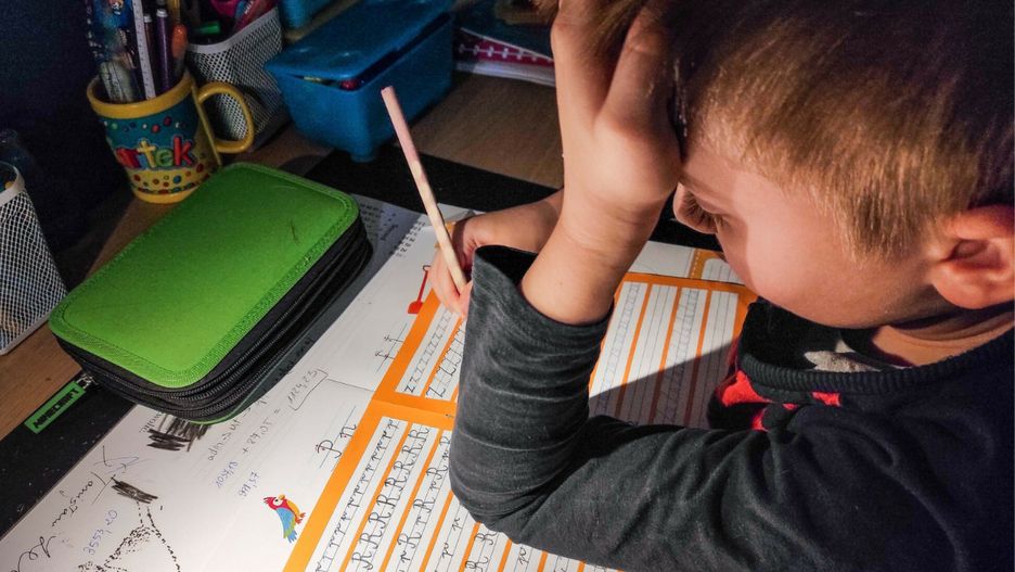 Ceny korepetycji dla uczniów szkół podstawowych i ponadpodstawowych rosną wraz z inflacją