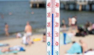 Tak będzie wyglądał lipiec. Jest najnowsza prognoza długoterminowa