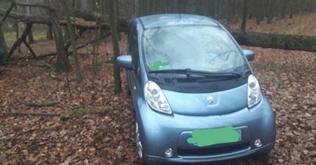 "Ekolog" jeździł elektrykiem po lesie. Leśnicy załamują ręce: Nie wiemy jak to skomentować