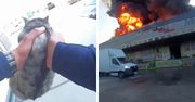 Pożar hali przy ul. Rembielińskiego w Płocku. Policjanci ewakuowali ludzi i zabezpieczyli teren! [VIDEO]
