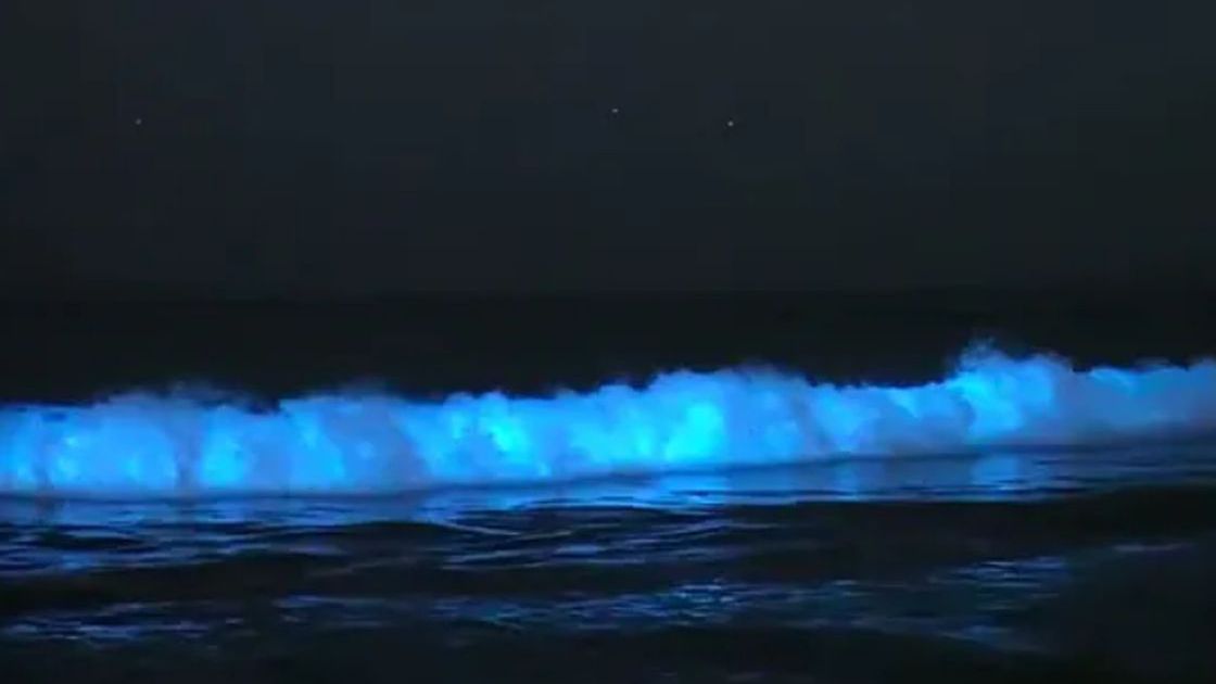 Niezwykłe zjawisko u wybrzeży Kaliforni