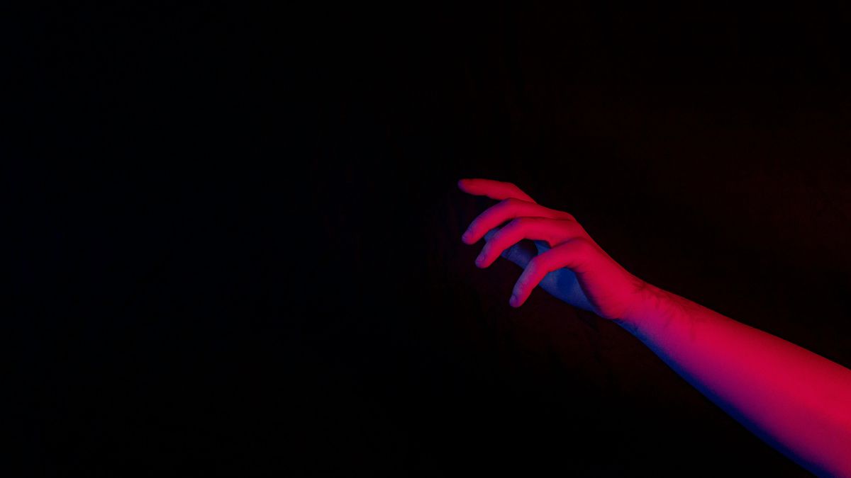 Organizmy emitują światło.