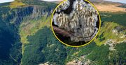 Park narodowy pokazał zdjęcie grzyba. "Wygląda intrygująco"