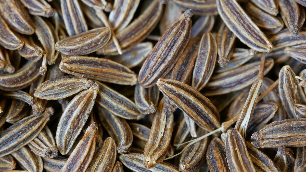 Kminek wspomaga odchudzanie