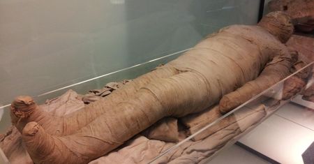 Muzeum Pomorza Środkowego w Słupsku zaprasza na wykład o... mumiach
