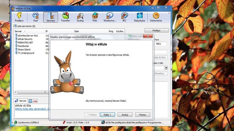 eMule