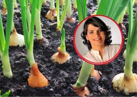 Wygrała z nowotworem. Lekarka zdradza, jakie produkty chroniące przed rakiem ma w kuchni