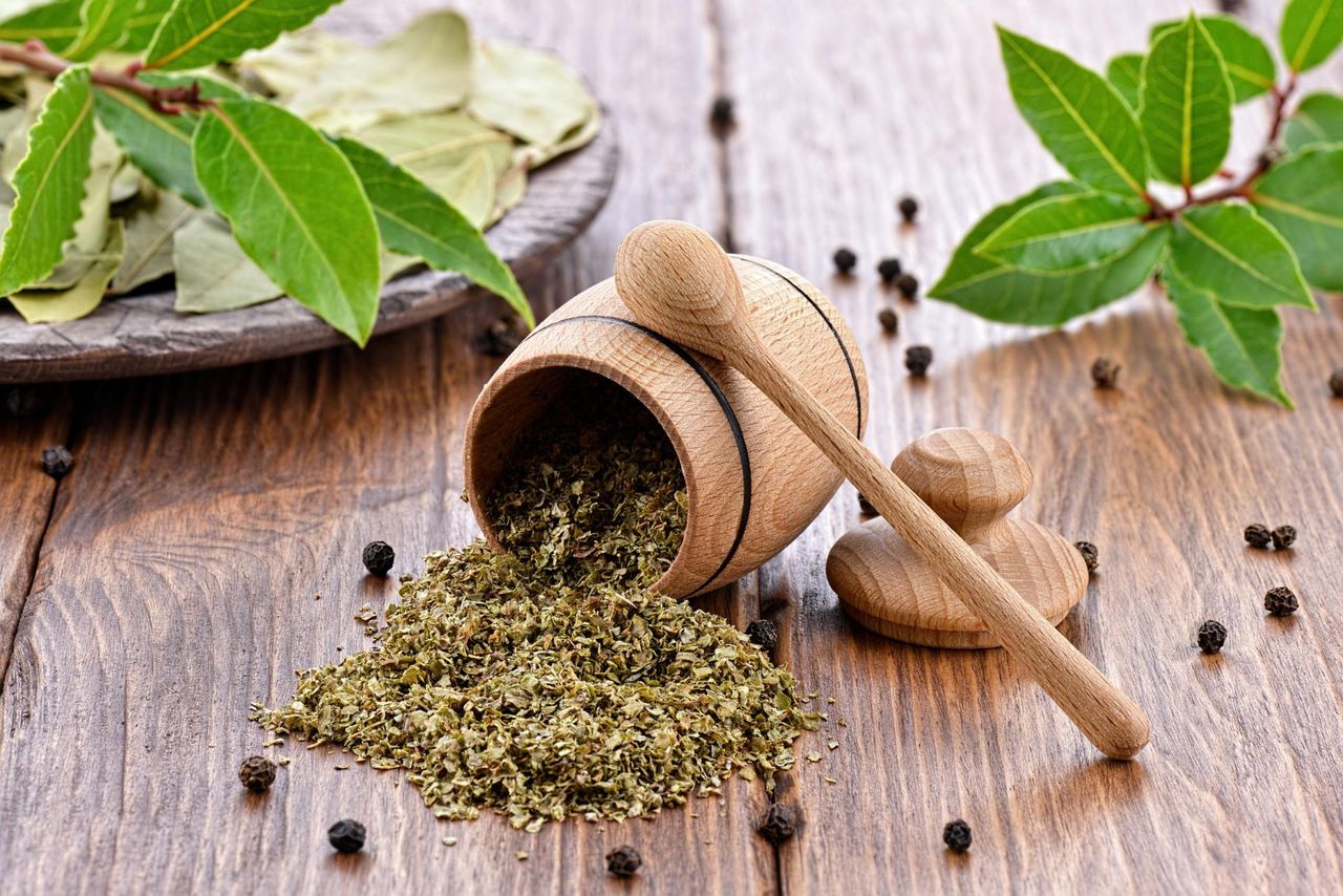 Majeranek – właściwości lecznicze, wartości odżywcze, zastosowanie w kuchni, olej z majeranku