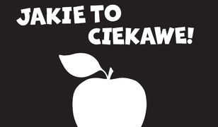 Jakie to ciekawe