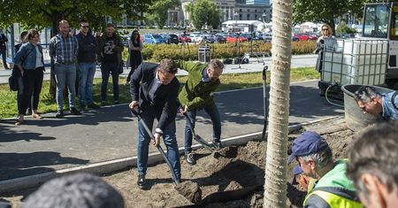 Warszawa. Zielona zmiana. 118 drzew zostanie posadzonych w Nowym Centrum Warszawy