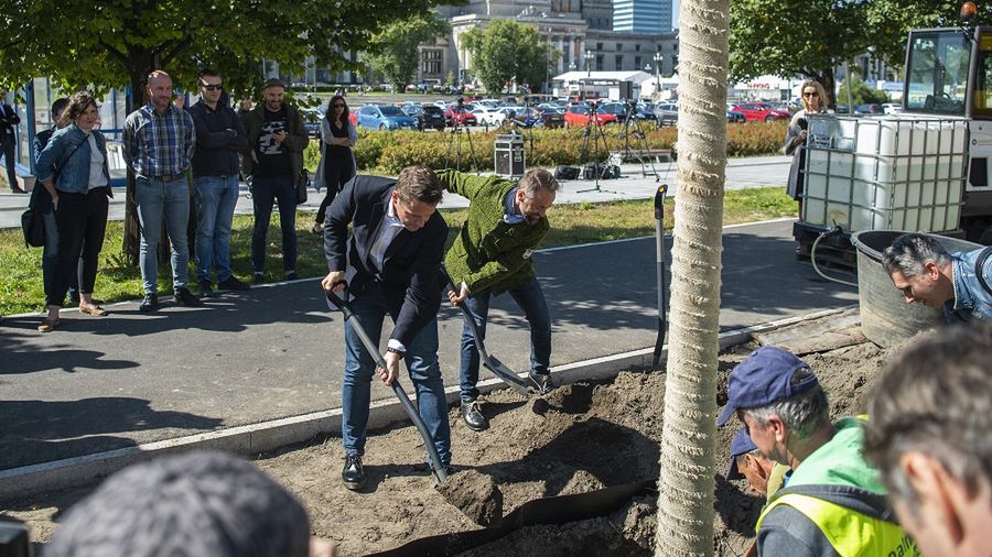 Warszawa. Pierwsze drzewa posadzili prezydent Warszawy Rafał Trzaskowski i wiceprezydent Michał Olszewski 