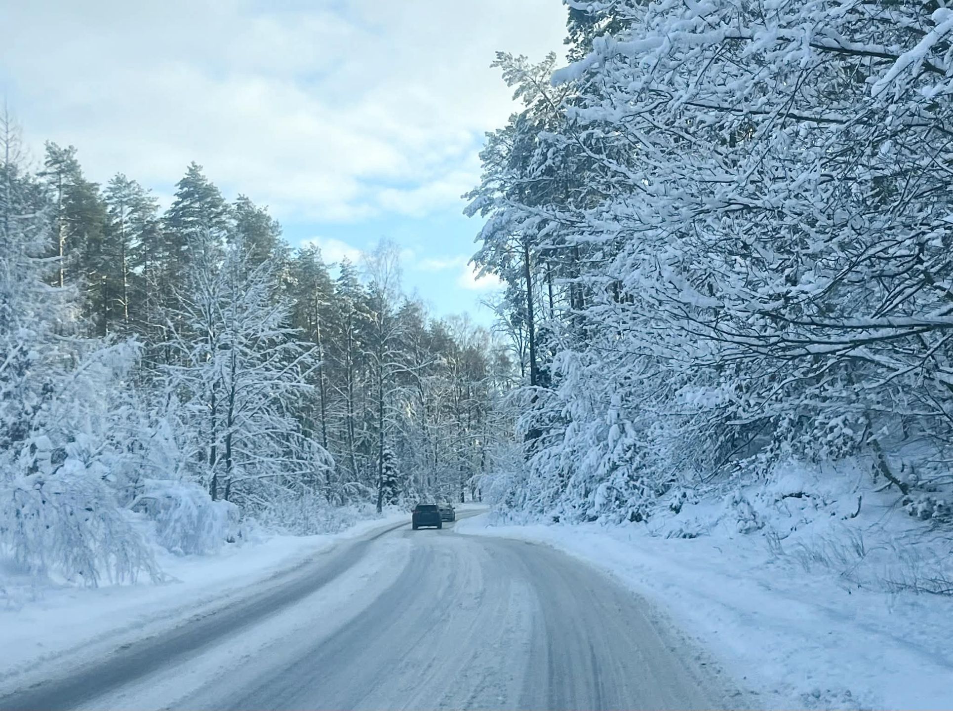 Okolice Wieżycy w sobotę 3 stycznia br.