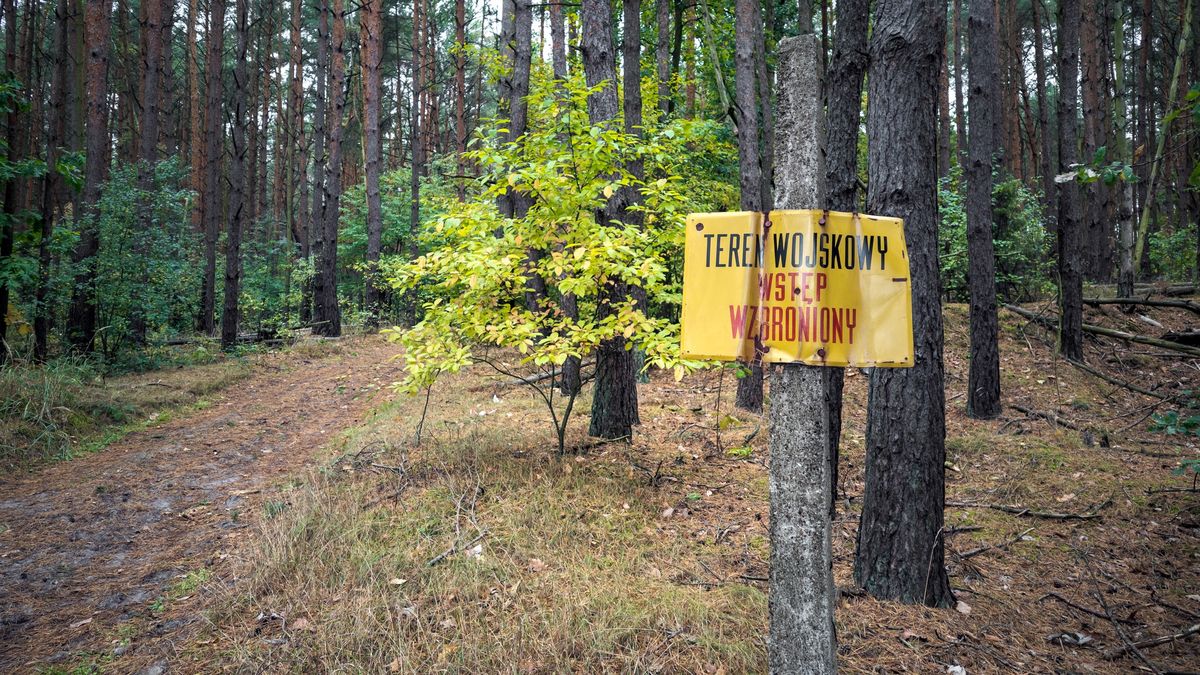 Teren wojskowy w lesie
