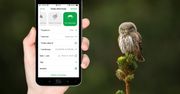 Zabierz smartfon do lasu. Badacze proszą o pomoc