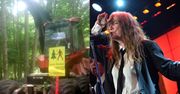 Patti Smith dwukrotnie apelowała o zaprzestanie wycinki w Puszczy! 100-letnie drzewa wycinane są na meble i... palety