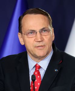 Morawiecki czy Duda? Sikorski mówi, kto wypada lepiej w czasie wojny