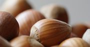 Orzechy - wartości odżywcze, kaloryczność, najlepsze i najgorsze orzechy