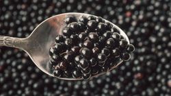 Leczą i karmią - lecznicze krzewy. Jak je jak wykorzystać w kuchni?