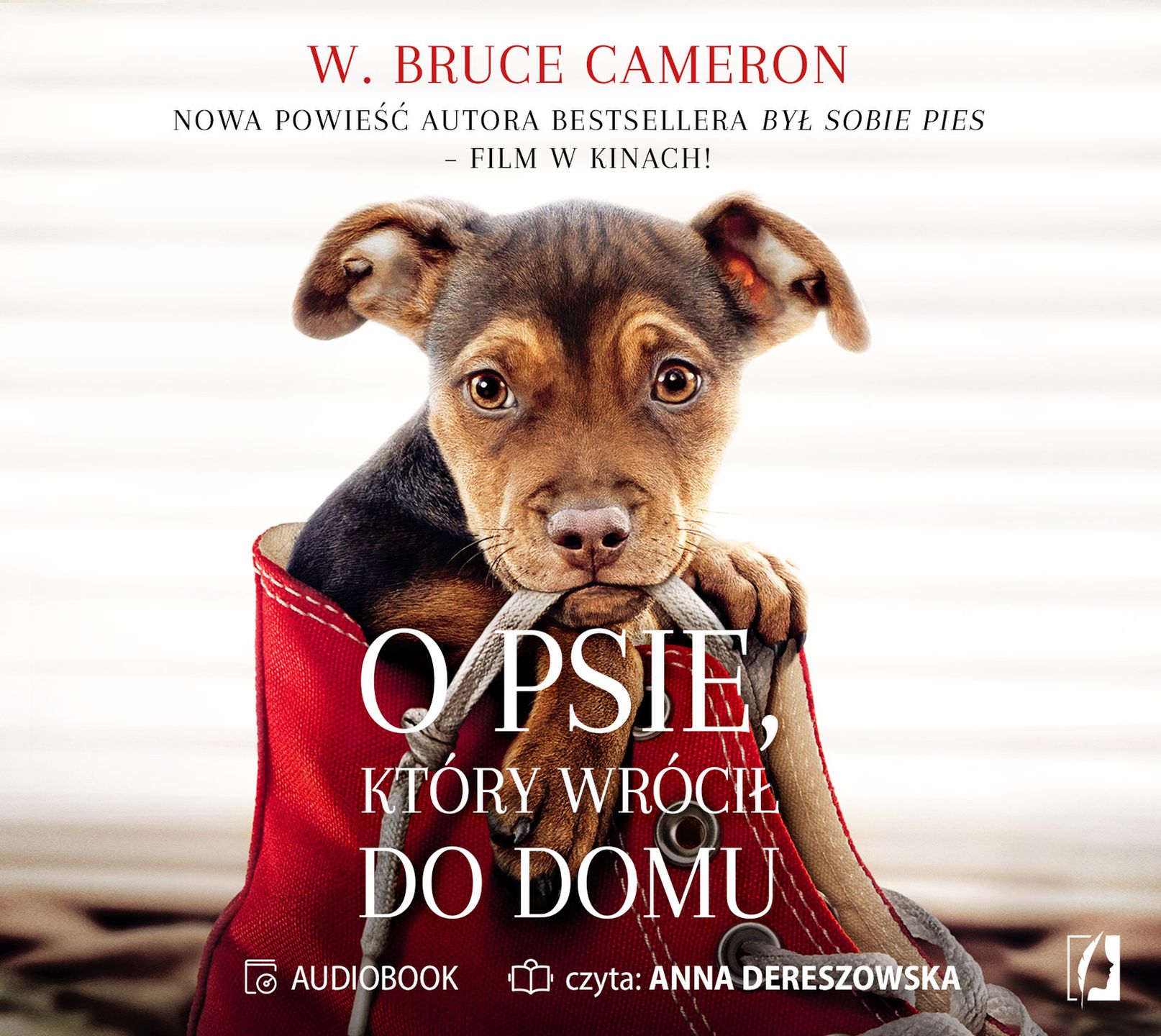 Film O Psie Który Czekał Na Swojego Pana O psie, który wrócił do domu - książka - WP Książki