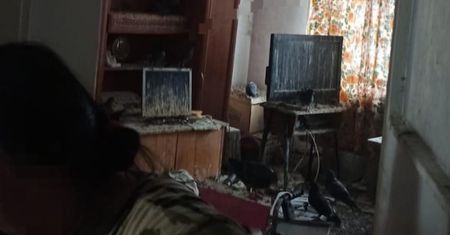 Mieszkanie zamienione w gołębnik. Kobieta w końcu otworzyła drzwi