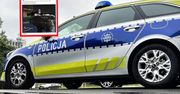 Zdjęcie obiega internet. "Szczyt bezczelności". Policja zaskoczona