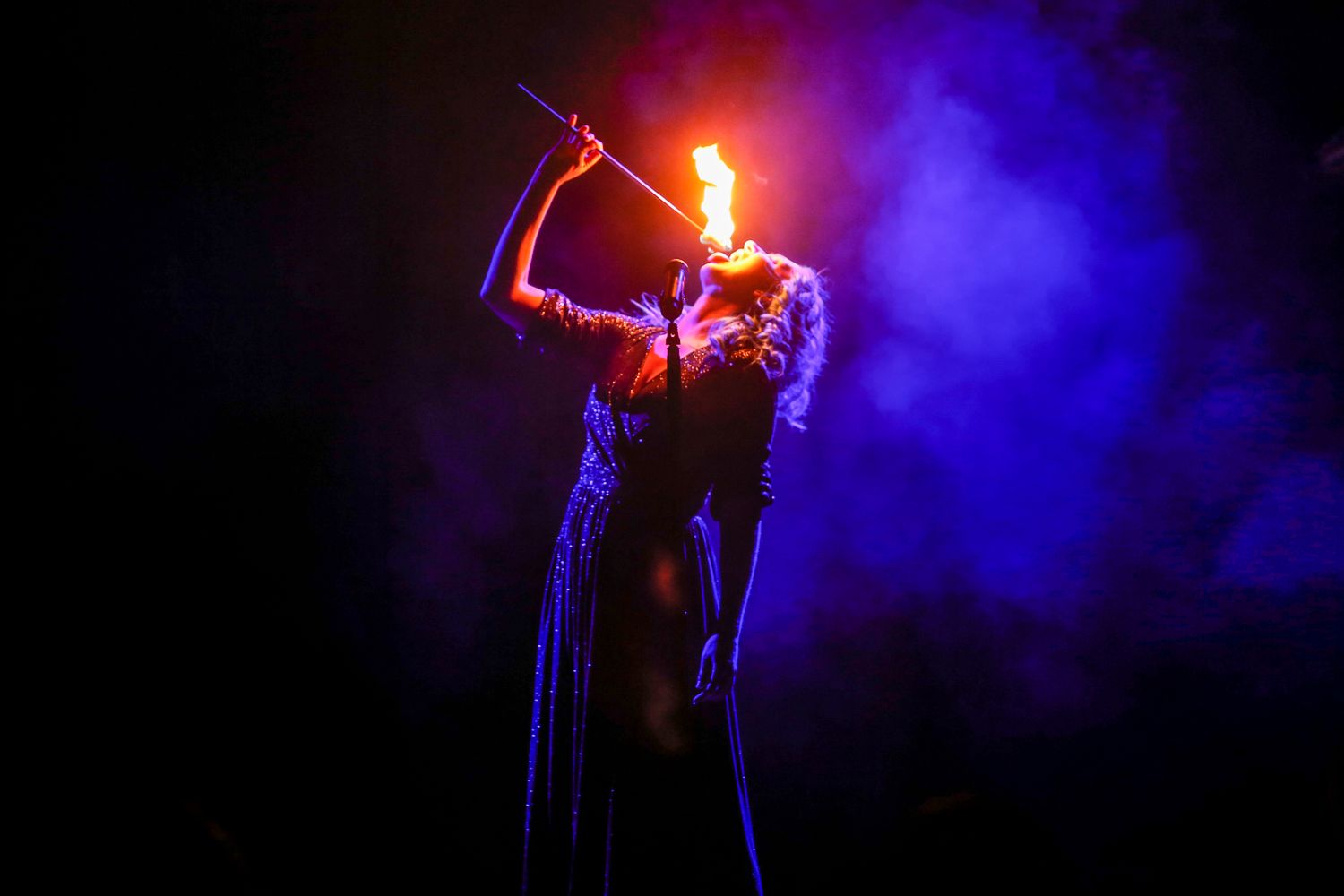 Hedonist - Variété Show
