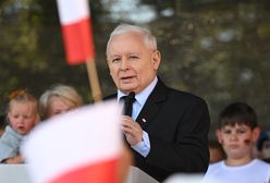 To z nimi PiS stworzy koalicję? Polacy zabrali głos