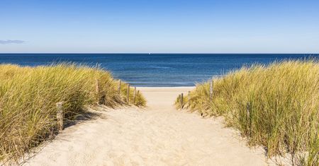 Hotel z plażą na wyciągnięcie ręki. Podobno to tutaj jest najczystszy piasek na polskim wybrzeżu