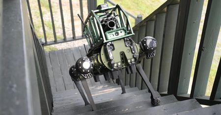Elita bada koncepcję wojny przyszłości. Jej bazę stanowią uzbrojone robo-psy