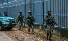 Obrońcy przyrody alarmują. "Mamy bezpowrotne straty"