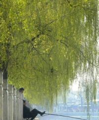 TUZINEK siódmy, czyli wiktoriańska prostytutka kontra nowojorska menadżerka