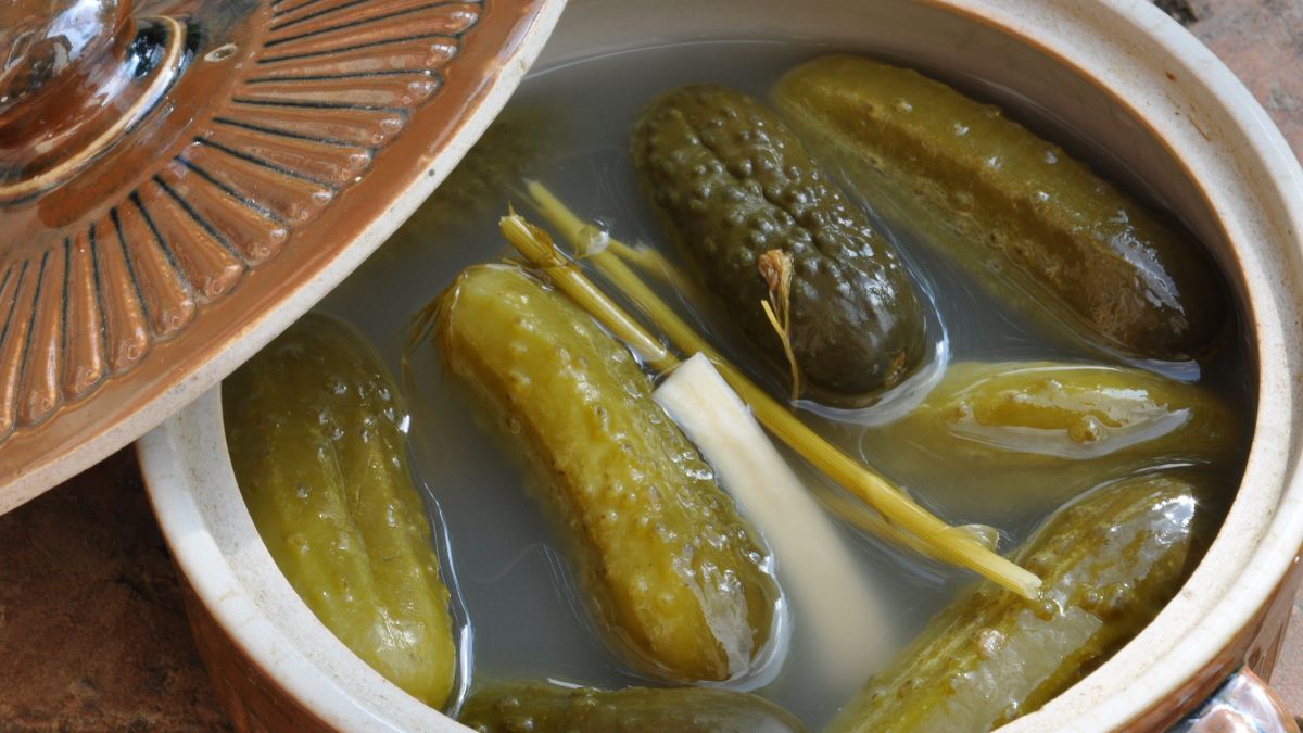 Ogórki kiszone w ceramicznym garnku