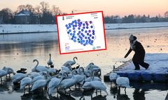 Najmroźniejszy poranek roku? Na mapie pogody wybija się jedno miejsce