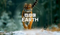 Nowy serial BBC Earth. David Attenborough przedstawi "Potęgę ssaków"