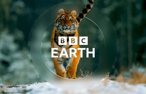 Nowy serial BBC Earth. David Attenborough przedstawi "Potęgę ssaków"