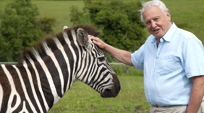 David Attenborough i cuda natury