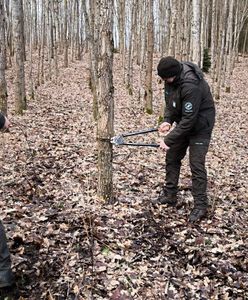 "Powszechny proceder". Przeszli po lesie i aż łapali się za głowy