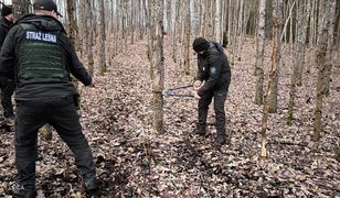 "Powszechny proceder". Przeszli po lesie i aż łapali się za głowy